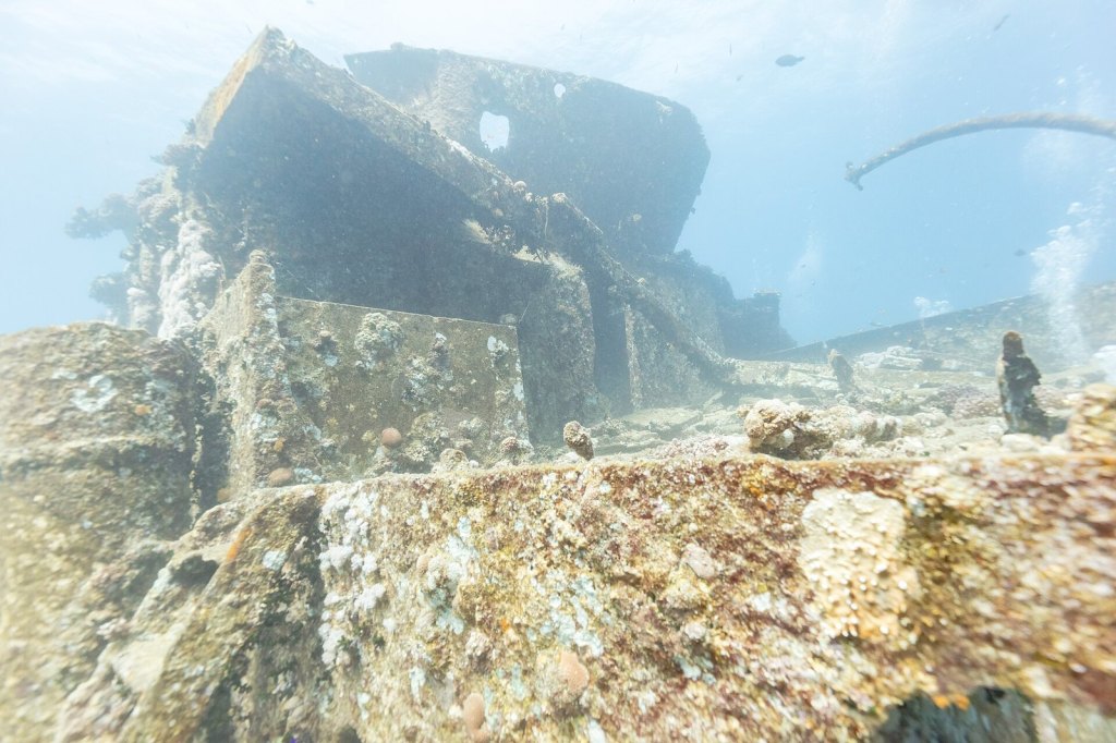SS Thistlegorm: The Red Sea Wreck and Her Wartime&nbsp;Cargo